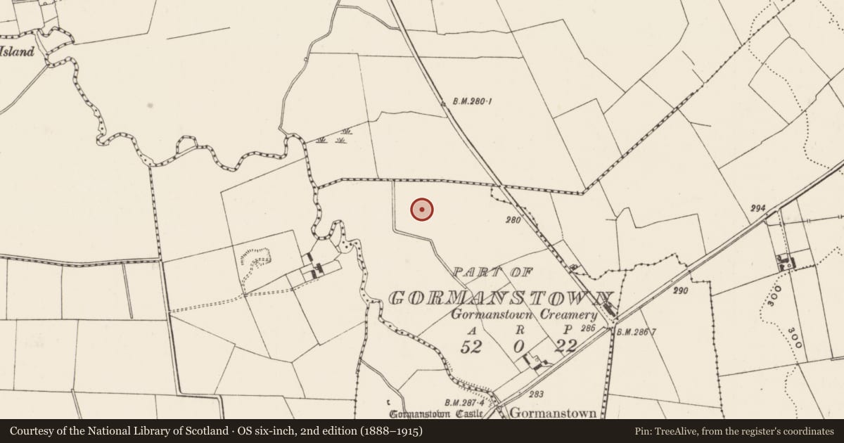 Ordnance Survey six-inch map, 2nd edition (1888–1915) covering the location of Barrow - ditch barrow, Gormanstown, County Limerick, with a pin at the register's coordinates