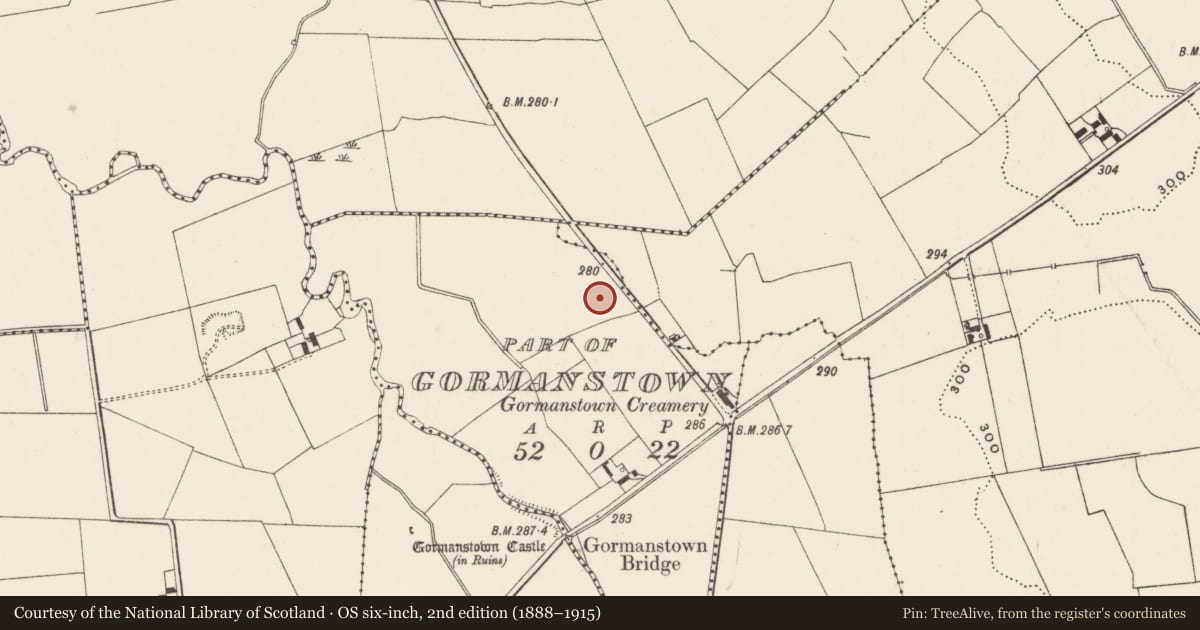 Ordnance Survey six-inch map, 2nd edition (1888–1915) covering the location of Barrow - ditch barrow, Gormanstown, County Limerick, with a pin at the register's coordinates