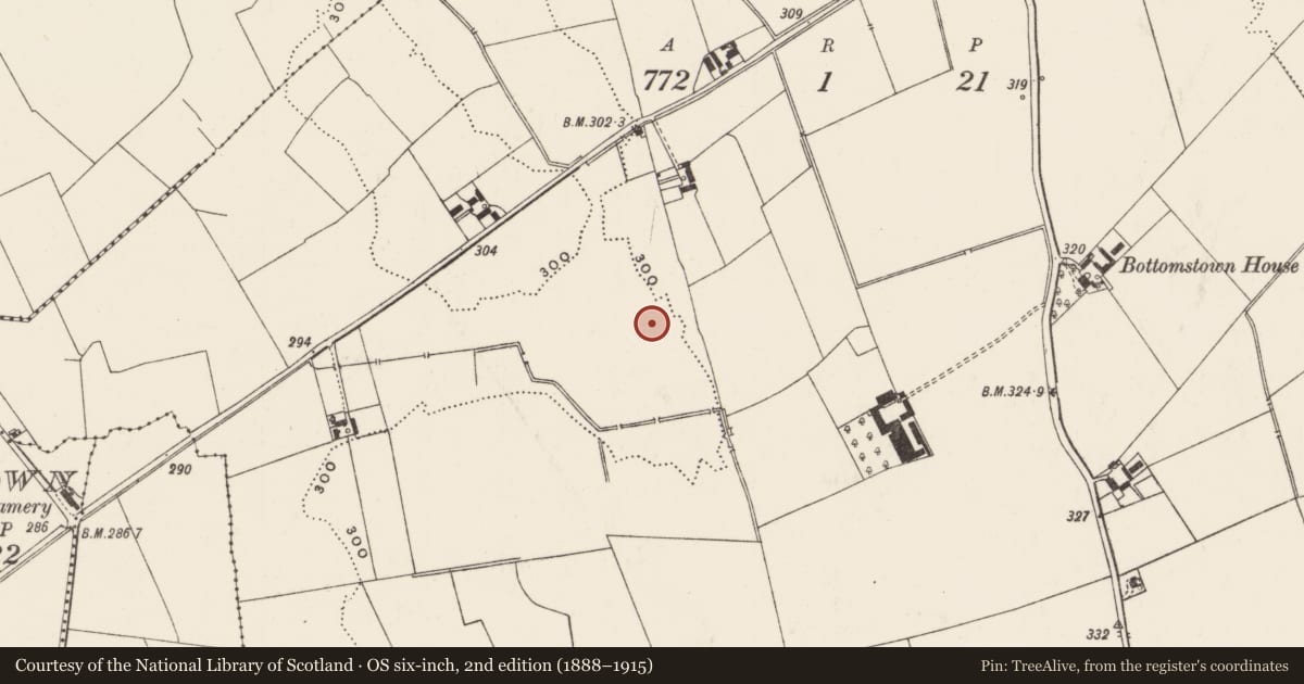 Ordnance Survey six-inch map, 2nd edition (1888–1915) covering the location of Field system, Bottomstown, County Limerick, with a pin at the register's coordinates