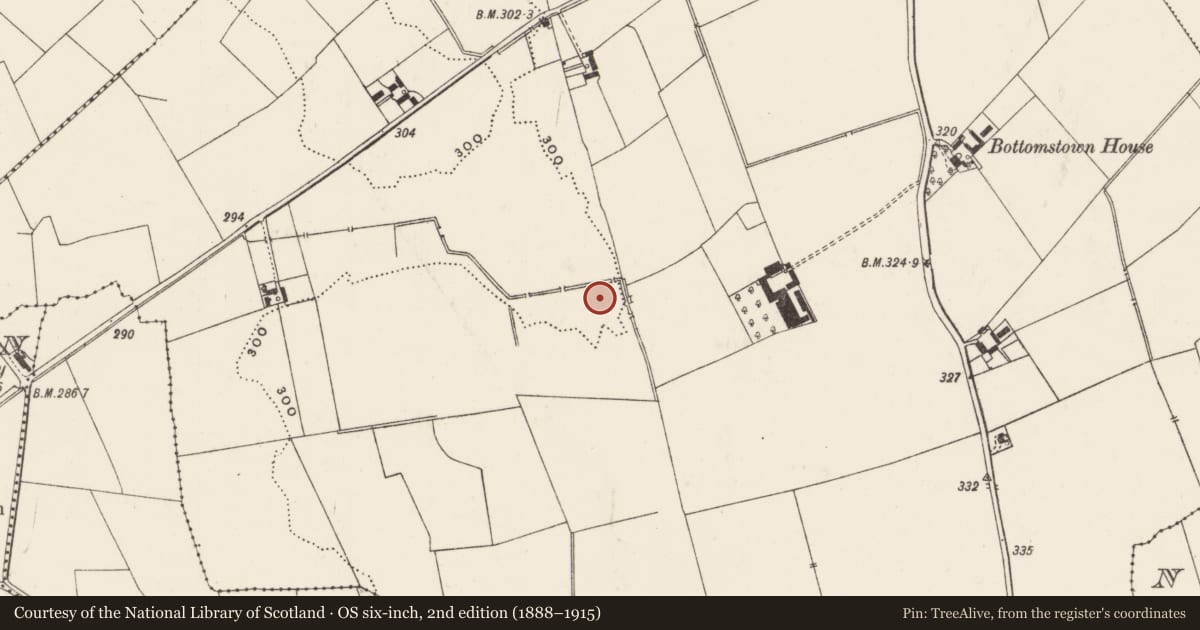 Ordnance Survey six-inch map, 2nd edition (1888–1915) covering the location of Earthwork, Bottomstown, County Limerick, with a pin at the register's coordinates
