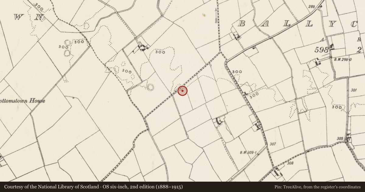 Ordnance Survey six-inch map, 2nd edition (1888–1915) covering the location of Earthwork, Newtown, County Limerick, with a pin at the register's coordinates