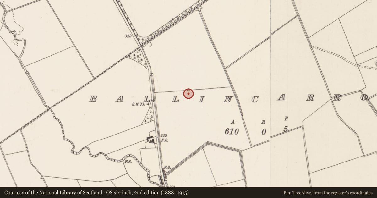 Ordnance Survey six-inch map, 2nd edition (1888–1915) covering the location of Field system, Ballincarroona, County Limerick, with a pin at the register's coordinates