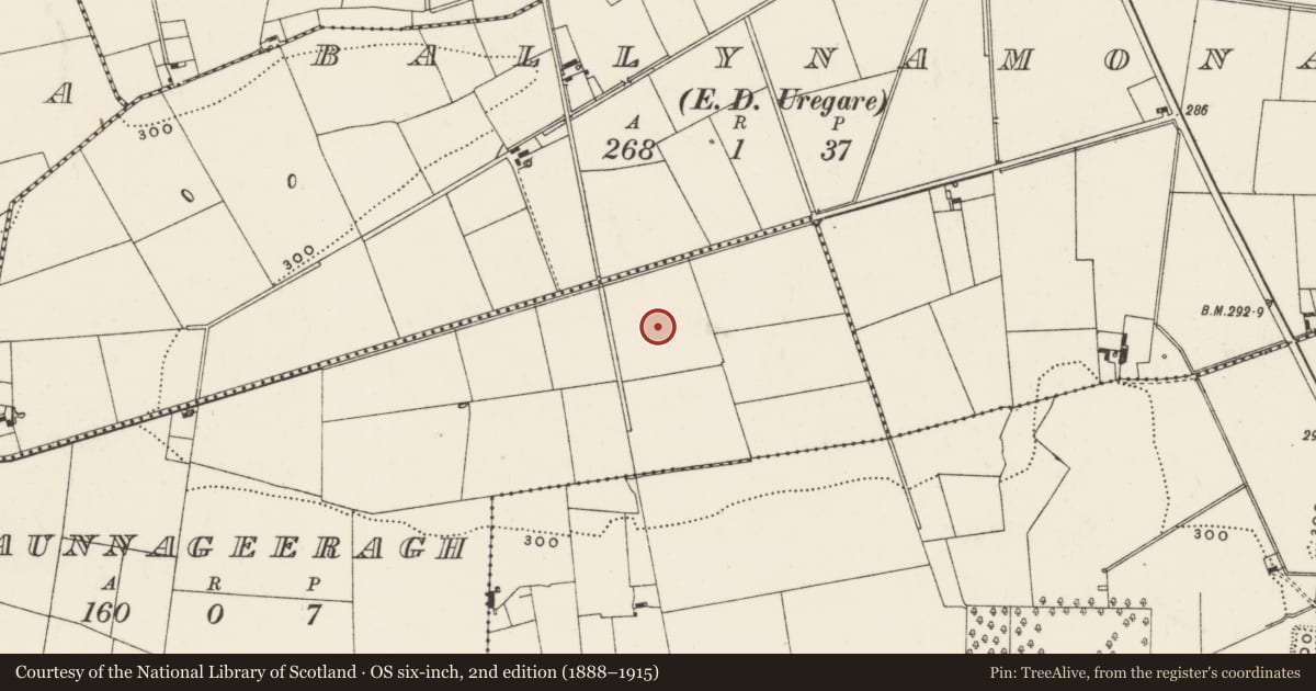 Ordnance Survey six-inch map, 2nd edition (1888–1915) covering the location of Barrow - unclassified, Baunnageeragh, County Limerick, with a pin at the register's coordinates