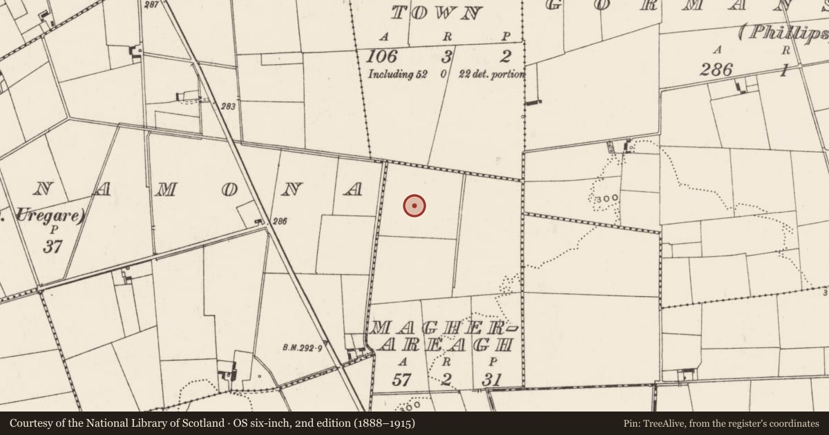Ordnance Survey six-inch map, 2nd edition (1888–1915) covering the location of Linear earthwork, Magherareagh, County Limerick, with a pin at the register's coordinates