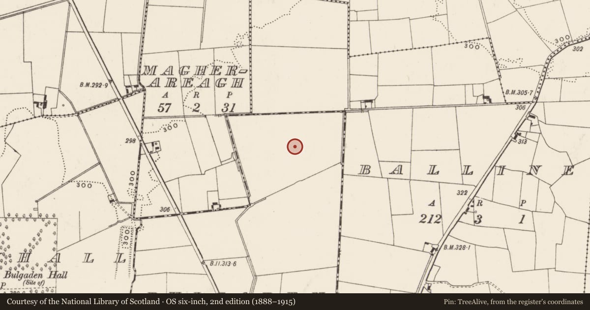 Ordnance Survey six-inch map, 2nd edition (1888–1915) covering the location of Earthwork, Bulgaden, County Limerick, with a pin at the register's coordinates