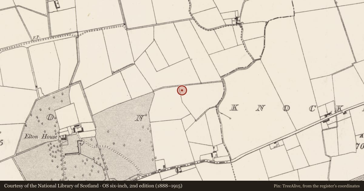 Ordnance Survey six-inch map, 2nd edition (1888–1915) covering the location of Enclosure, Elton, County Limerick, with a pin at the register's coordinates