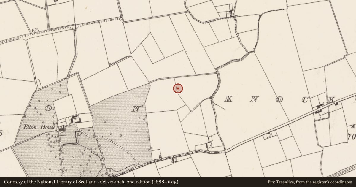 Ordnance Survey six-inch map, 2nd edition (1888–1915) covering the location of Barrow - ditch barrow, Elton, County Limerick, with a pin at the register's coordinates