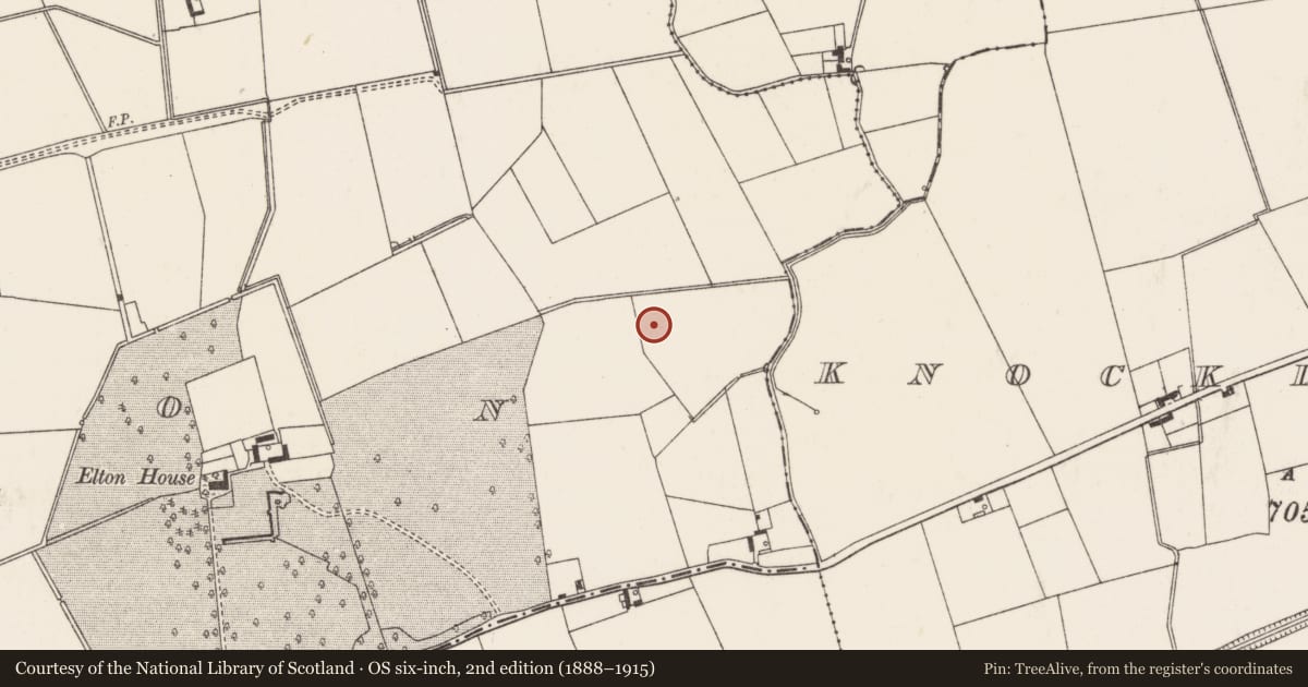 Ordnance Survey six-inch map, 2nd edition (1888–1915) covering the location of Barrow - ditch barrow, Elton, County Limerick, with a pin at the register's coordinates