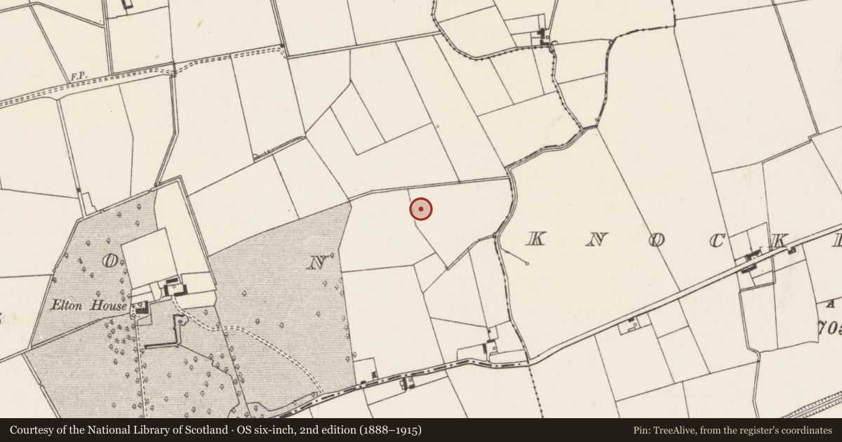Ordnance Survey six-inch map, 2nd edition (1888–1915) covering the location of Barrow - ditch barrow, Elton, County Limerick, with a pin at the register's coordinates
