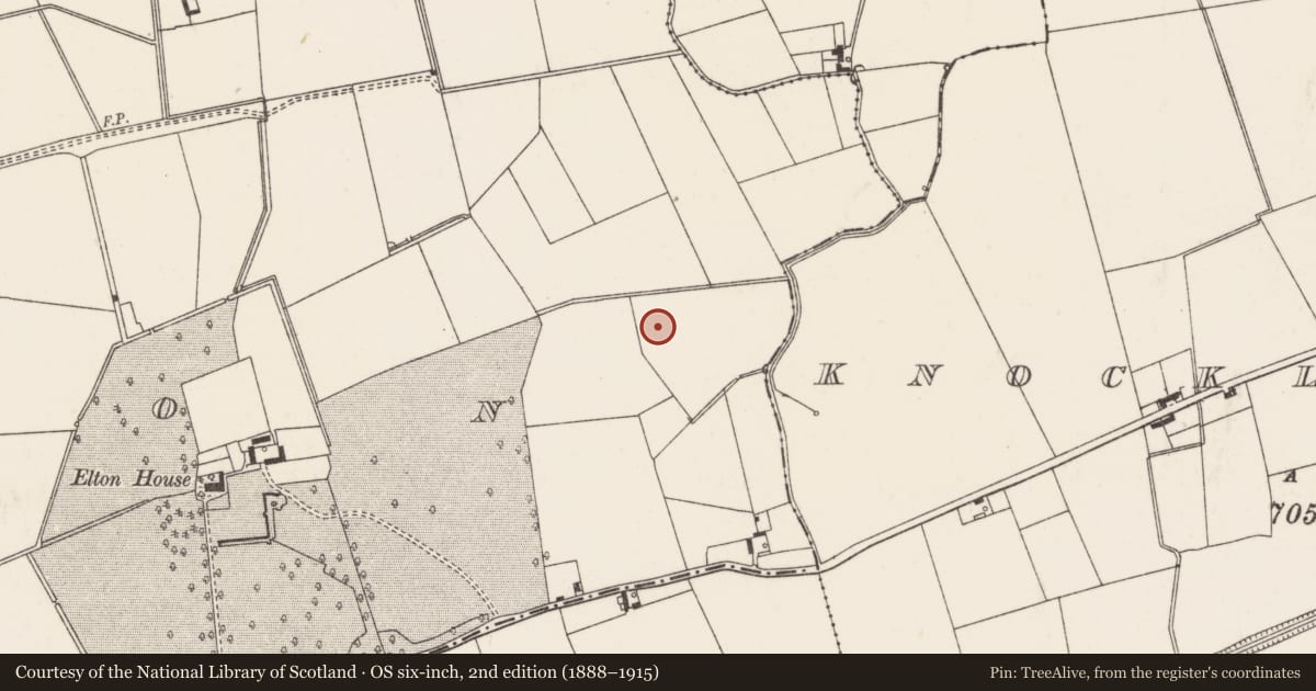 Ordnance Survey six-inch map, 2nd edition (1888–1915) covering the location of Barrow - ditch barrow, Elton, County Limerick, with a pin at the register's coordinates