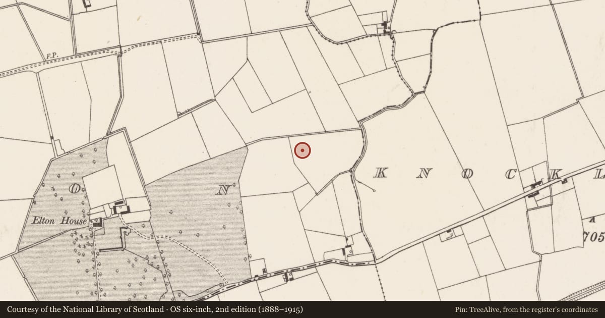 Ordnance Survey six-inch map, 2nd edition (1888–1915) covering the location of Barrow - ditch barrow, Elton, County Limerick, with a pin at the register's coordinates
