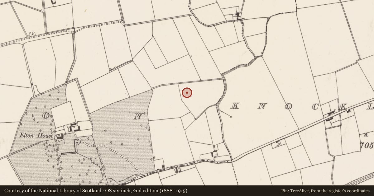 Ordnance Survey six-inch map, 2nd edition (1888–1915) covering the location of Barrow - ditch barrow, Elton, County Limerick, with a pin at the register's coordinates
