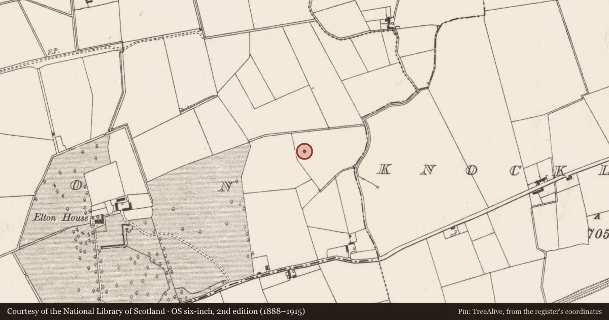 Ordnance Survey six-inch map, 2nd edition (1888–1915) covering the location of Barrow - ditch barrow, Elton, County Limerick, with a pin at the register's coordinates