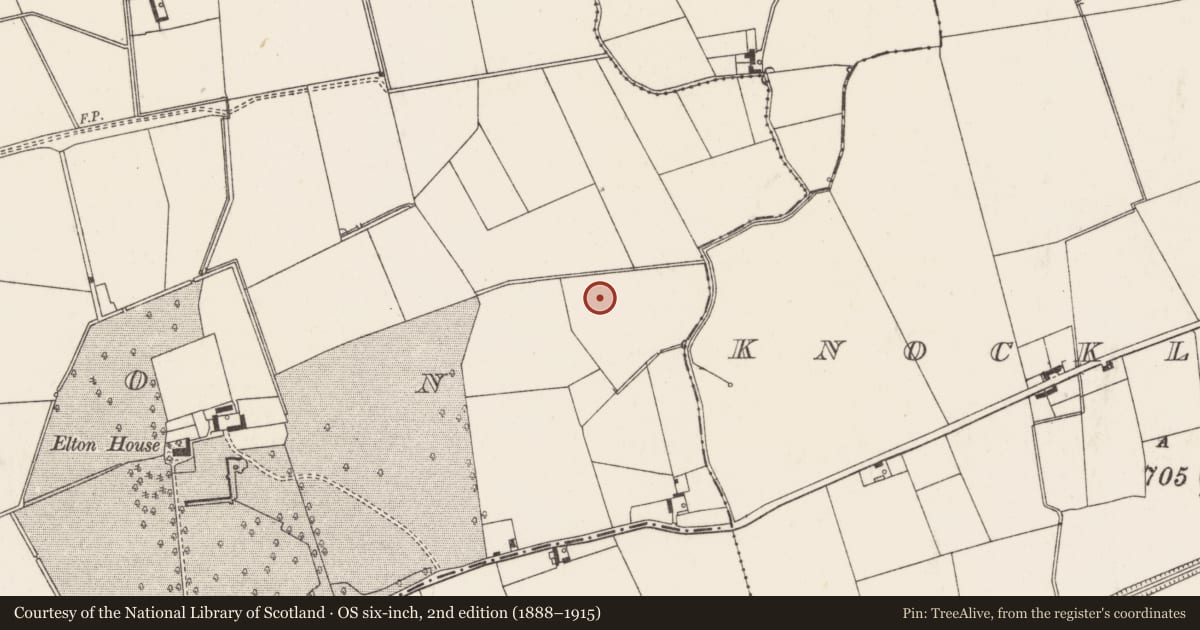Ordnance Survey six-inch map, 2nd edition (1888–1915) covering the location of Barrow - ditch barrow, Elton, County Limerick, with a pin at the register's coordinates