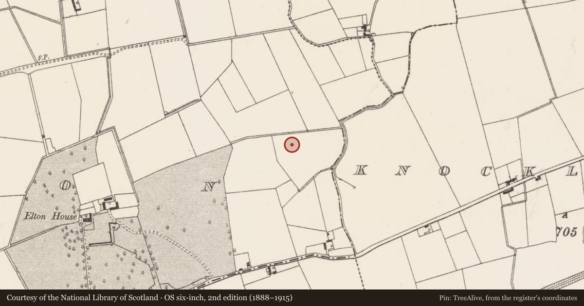 Ordnance Survey six-inch map, 2nd edition (1888–1915) covering the location of Barrow - ditch barrow, Elton, County Limerick, with a pin at the register's coordinates