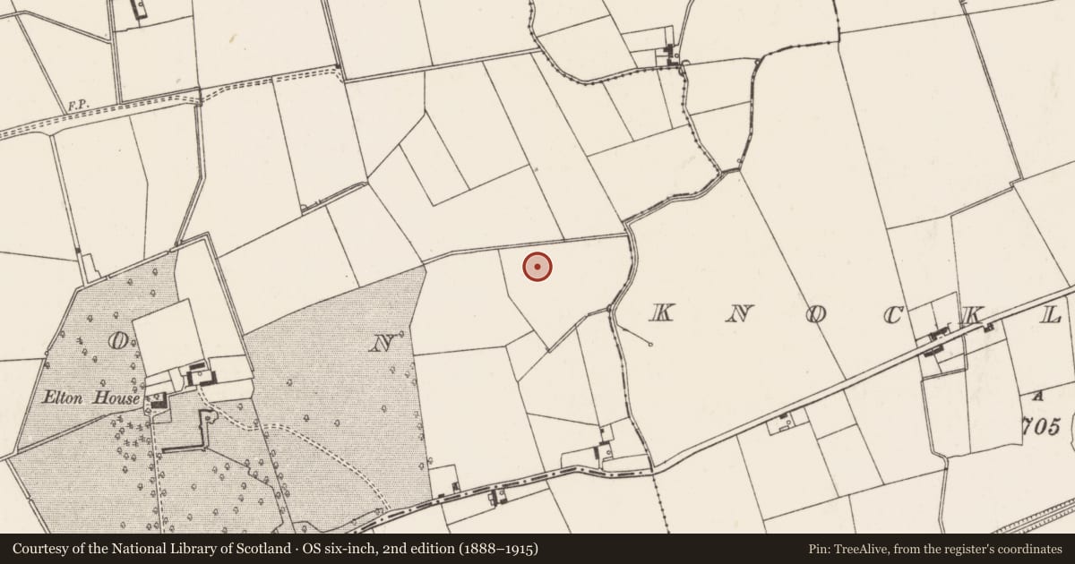 Ordnance Survey six-inch map, 2nd edition (1888–1915) covering the location of Barrow - ditch barrow, Elton, County Limerick, with a pin at the register's coordinates
