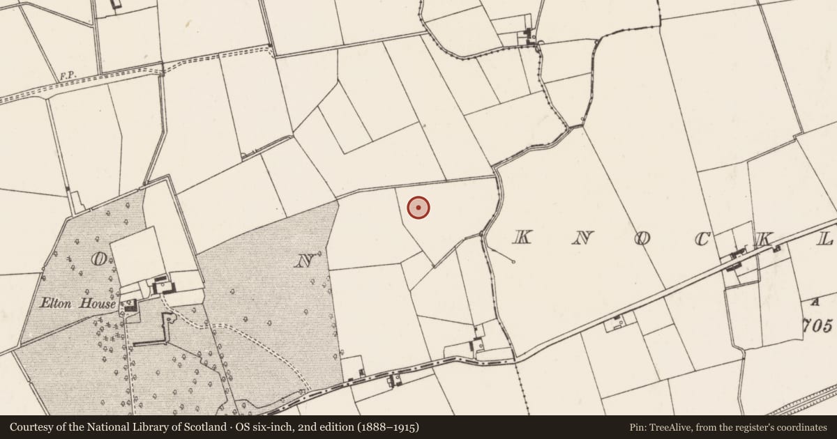 Ordnance Survey six-inch map, 2nd edition (1888–1915) covering the location of Barrow - ditch barrow, Elton, County Limerick, with a pin at the register's coordinates