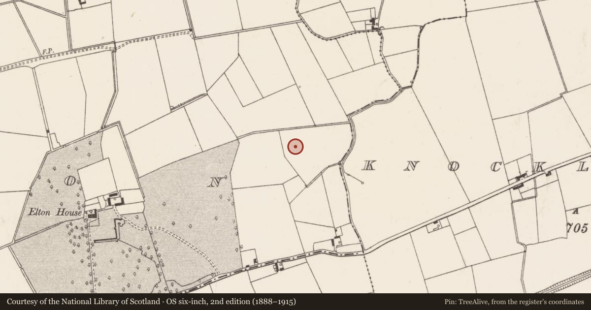 Ordnance Survey six-inch map, 2nd edition (1888–1915) covering the location of Barrow - ditch barrow, Elton, County Limerick, with a pin at the register's coordinates