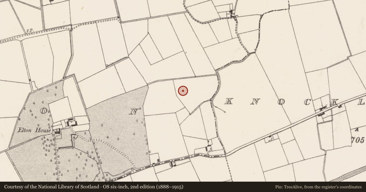 Ordnance Survey six-inch map, 2nd edition (1888–1915) covering the location of Barrow - ditch barrow, Elton, County Limerick, with a pin at the register's coordinates