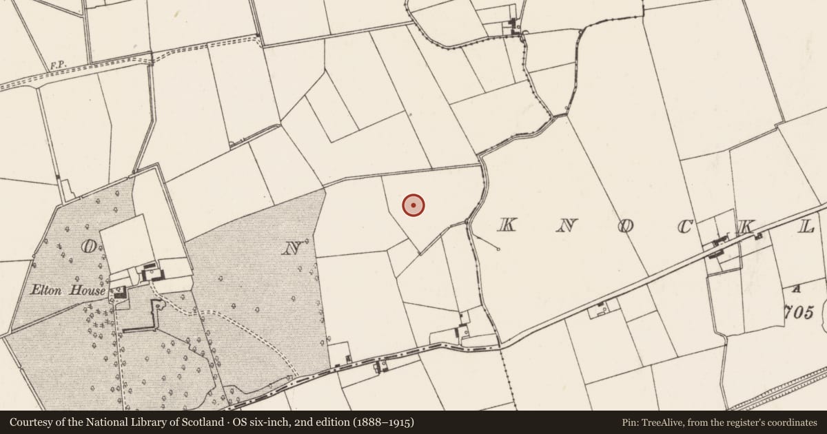 Ordnance Survey six-inch map, 2nd edition (1888–1915) covering the location of Barrow - ditch barrow, Elton, County Limerick, with a pin at the register's coordinates