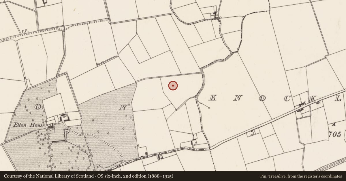 Ordnance Survey six-inch map, 2nd edition (1888–1915) covering the location of Barrow - ditch barrow, Elton, County Limerick, with a pin at the register's coordinates