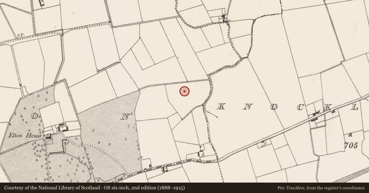 Ordnance Survey six-inch map, 2nd edition (1888–1915) covering the location of Barrow - ditch barrow, Elton, County Limerick, with a pin at the register's coordinates