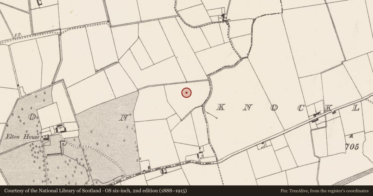 Ordnance Survey six-inch map, 2nd edition (1888–1915) covering the location of Barrow - ditch barrow, Elton, County Limerick, with a pin at the register's coordinates