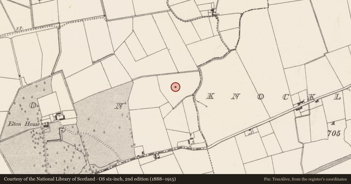 Ordnance Survey six-inch map, 2nd edition (1888–1915) covering the location of Barrow - ditch barrow, Elton, County Limerick, with a pin at the register's coordinates