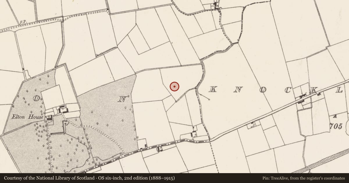 Ordnance Survey six-inch map, 2nd edition (1888–1915) covering the location of Barrow - ditch barrow, Elton, County Limerick, with a pin at the register's coordinates