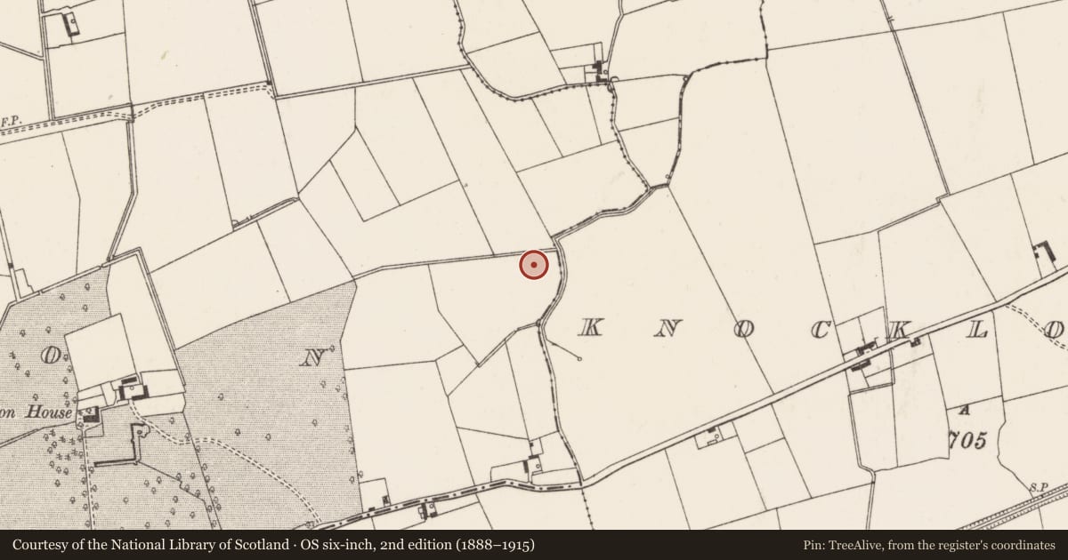 Ordnance Survey six-inch map, 2nd edition (1888–1915) covering the location of Barrow - ditch barrow, Elton, County Limerick, with a pin at the register's coordinates