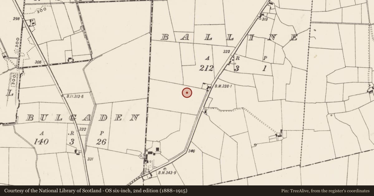 Ordnance Survey six-inch map, 2nd edition (1888–1915) covering the location of Barrow - unclassified, Balline, County Limerick, with a pin at the register's coordinates