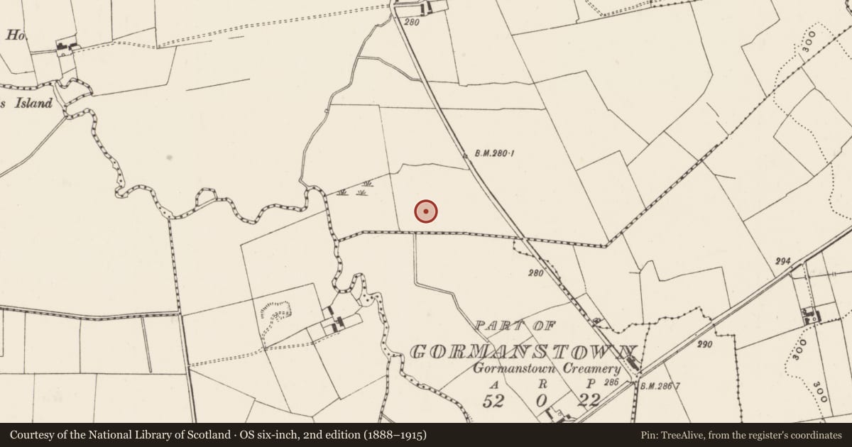 Ordnance Survey six-inch map, 2nd edition (1888–1915) covering the location of Mound, Baggotstown West, County Limerick, with a pin at the register's coordinates