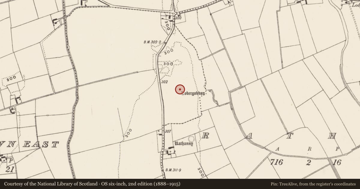 Ordnance Survey six-inch map, 2nd edition (1888–1915) covering the location of Barrow - unclassified, Bottomstown, County Limerick, with a pin at the register's coordinates