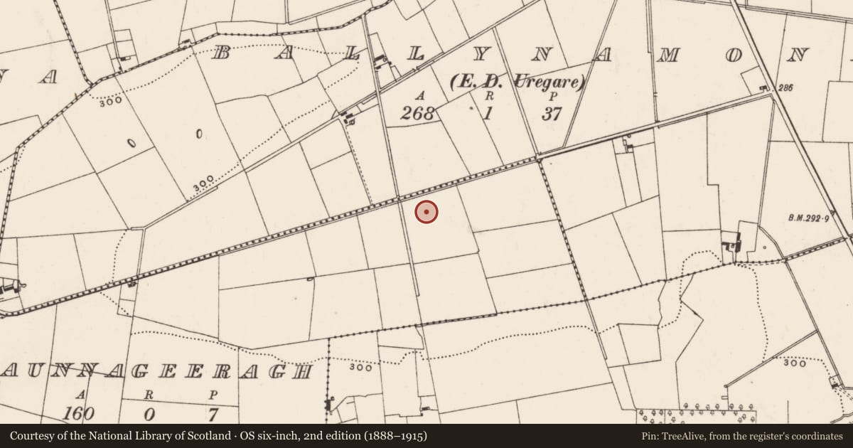 Ordnance Survey six-inch map, 2nd edition (1888–1915) covering the location of Barrow - unclassified, Baunnageeragh, County Limerick, with a pin at the register's coordinates