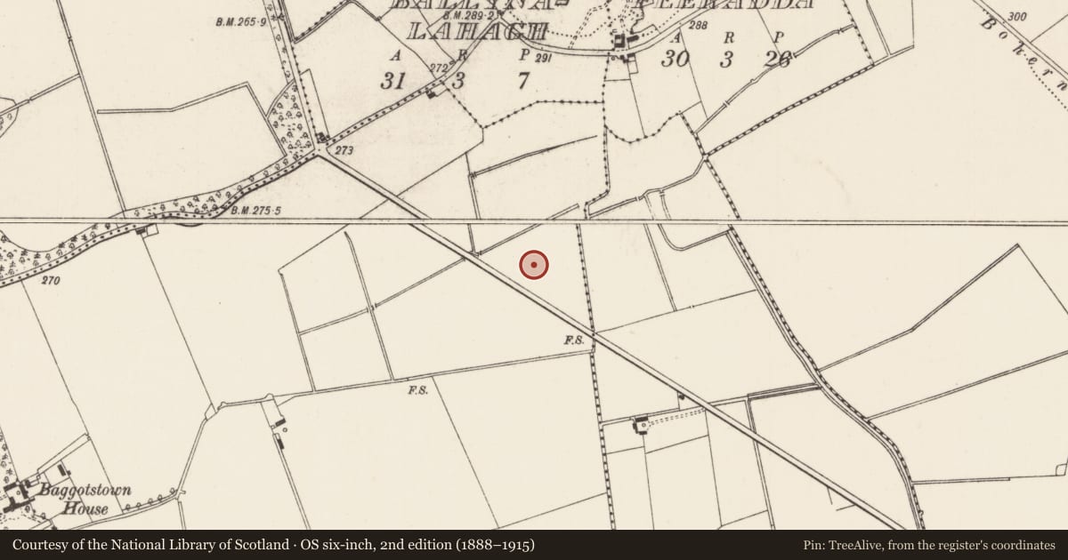 Ordnance Survey six-inch map, 2nd edition (1888–1915) covering the location of Enclosure, Baggotstown, County Limerick, with a pin at the register's coordinates