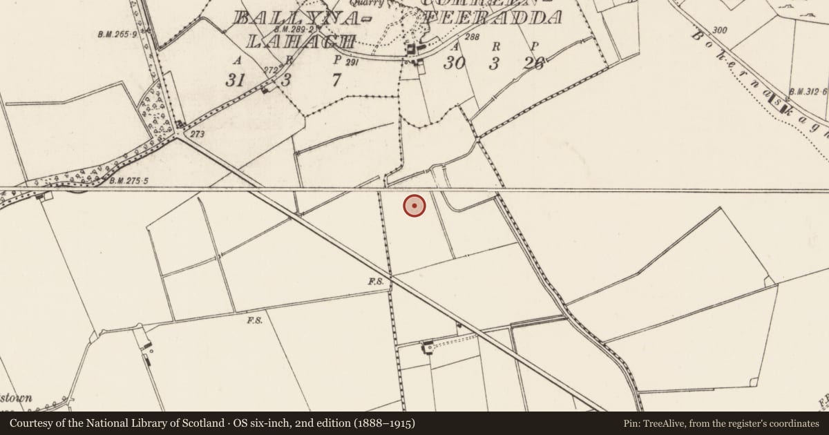 Ordnance Survey six-inch map, 2nd edition (1888–1915) covering the location of Barrow - ditch barrow, Baggotstown East, County Limerick, with a pin at the register's coordinates