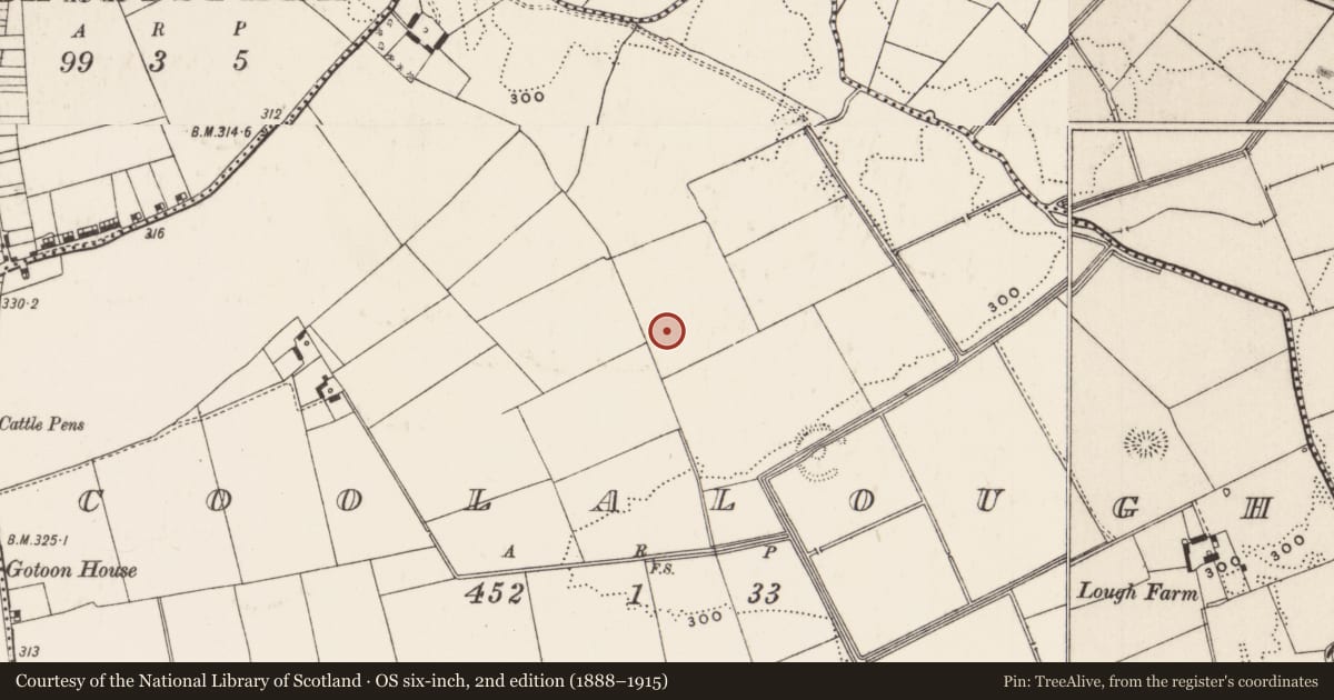 Ordnance Survey six-inch map, 2nd edition (1888–1915) covering the location of Earthwork, Coolalough, County Limerick, with a pin at the register's coordinates