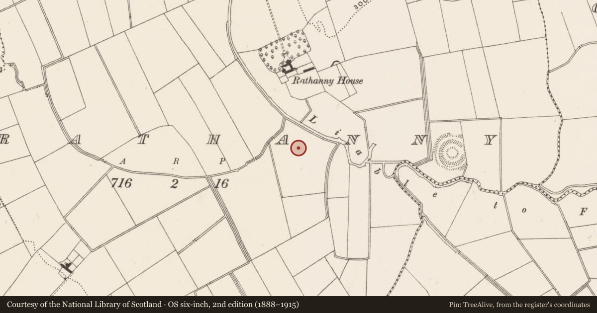 Ordnance Survey six-inch map, 2nd edition (1888–1915) covering the location of Barrow - ditch barrow, Rathanny, County Limerick, with a pin at the register's coordinates