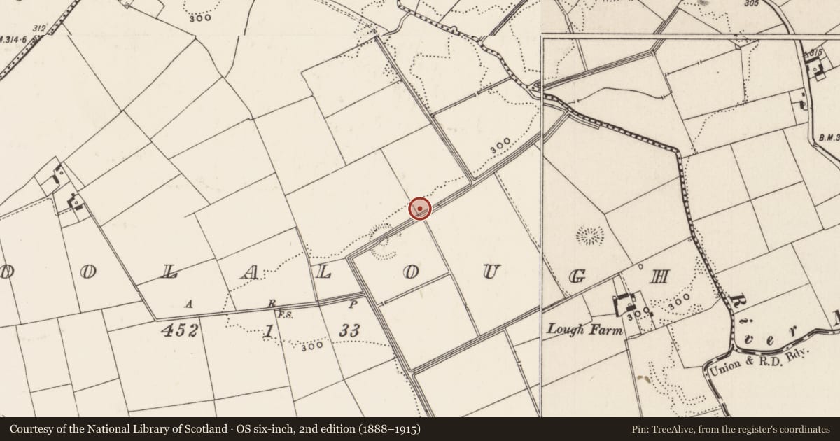 Ordnance Survey six-inch map, 2nd edition (1888–1915) covering the location of Barrow - ditch barrow, Coolalough, County Limerick, with a pin at the register's coordinates