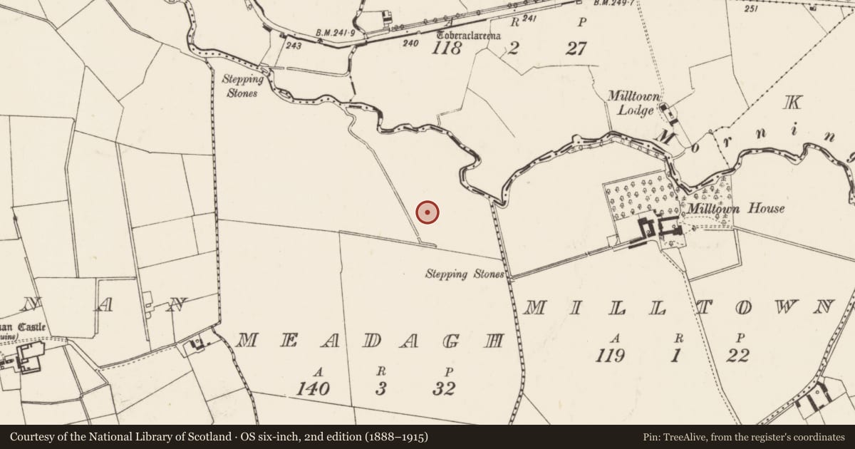 Ordnance Survey six-inch map, 2nd edition (1888–1915) covering the location of Barrow - ditch barrow, Meadagh, County Limerick, with a pin at the register's coordinates