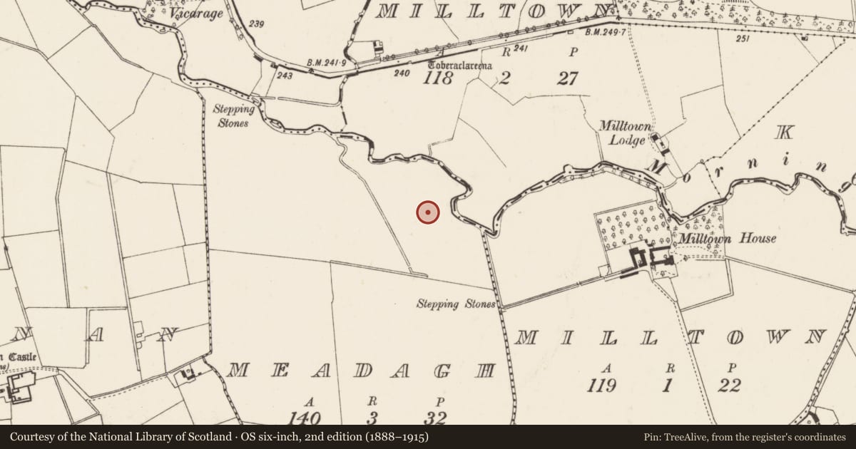 Ordnance Survey six-inch map, 2nd edition (1888–1915) covering the location of Barrow - ditch barrow, Meadagh, County Limerick, with a pin at the register's coordinates
