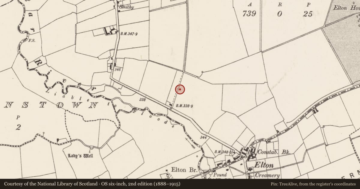 Ordnance Survey six-inch map, 2nd edition (1888–1915) covering the location of Excavation - miscellaneous, Elton, County Limerick, with a pin at the register's coordinates