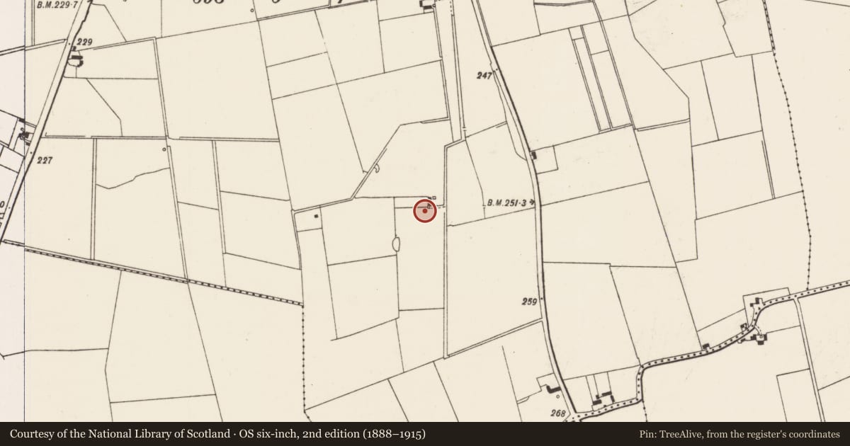 Ordnance Survey six-inch map, 2nd edition (1888–1915) covering the location of Enclosure, Ballygrennan, County Limerick, with a pin at the register's coordinates