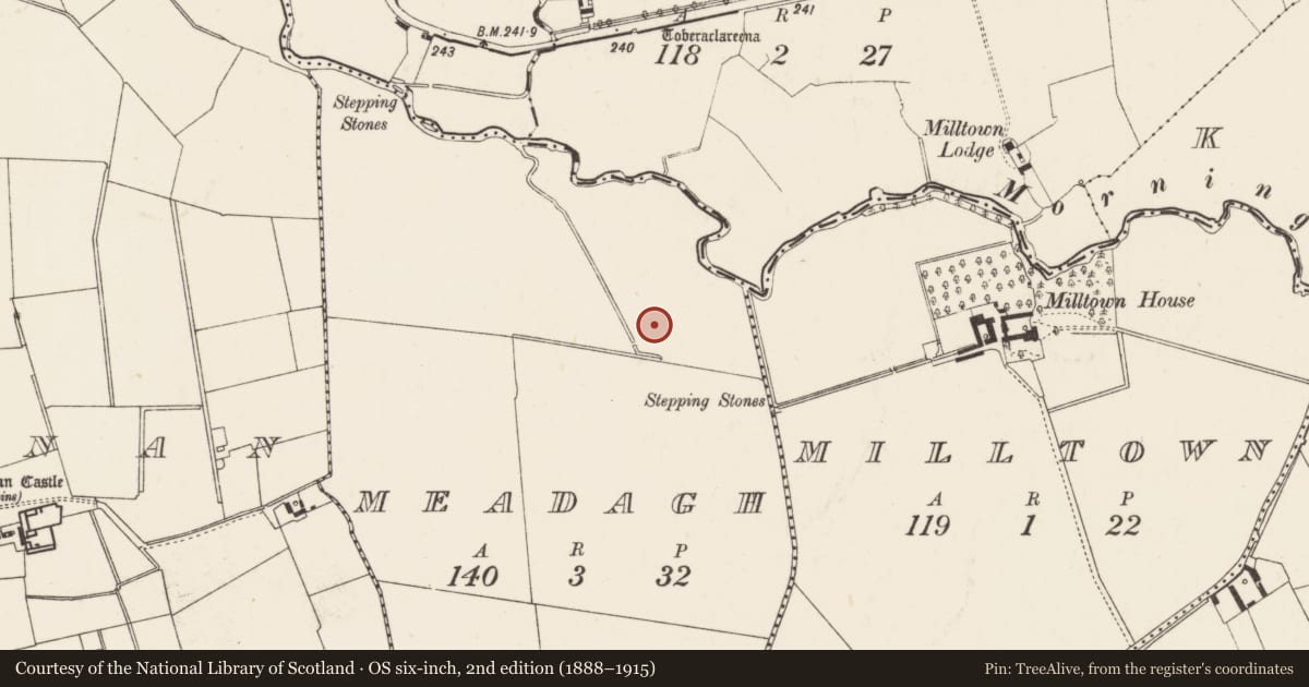Ordnance Survey six-inch map, 2nd edition (1888–1915) covering the location of Barrow - ditch barrow, Meadagh, County Limerick, with a pin at the register's coordinates