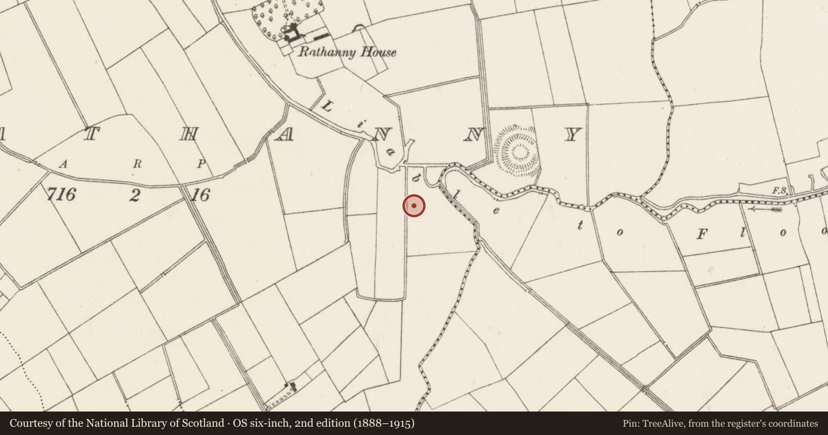 Ordnance Survey six-inch map, 2nd edition (1888–1915) covering the location of Barrow - ditch barrow, Rathanny, County Limerick, with a pin at the register's coordinates