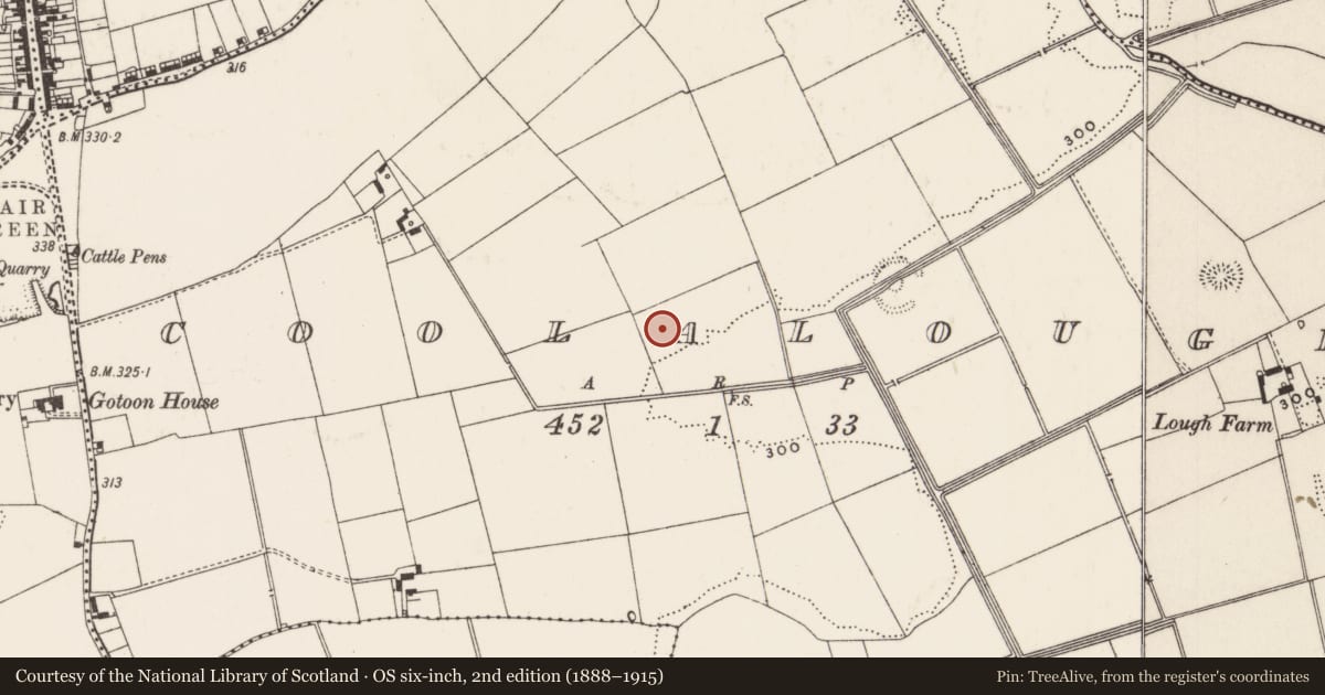 Ordnance Survey six-inch map, 2nd edition (1888–1915) covering the location of Barrow - ditch barrow, Coolalough, County Limerick, with a pin at the register's coordinates