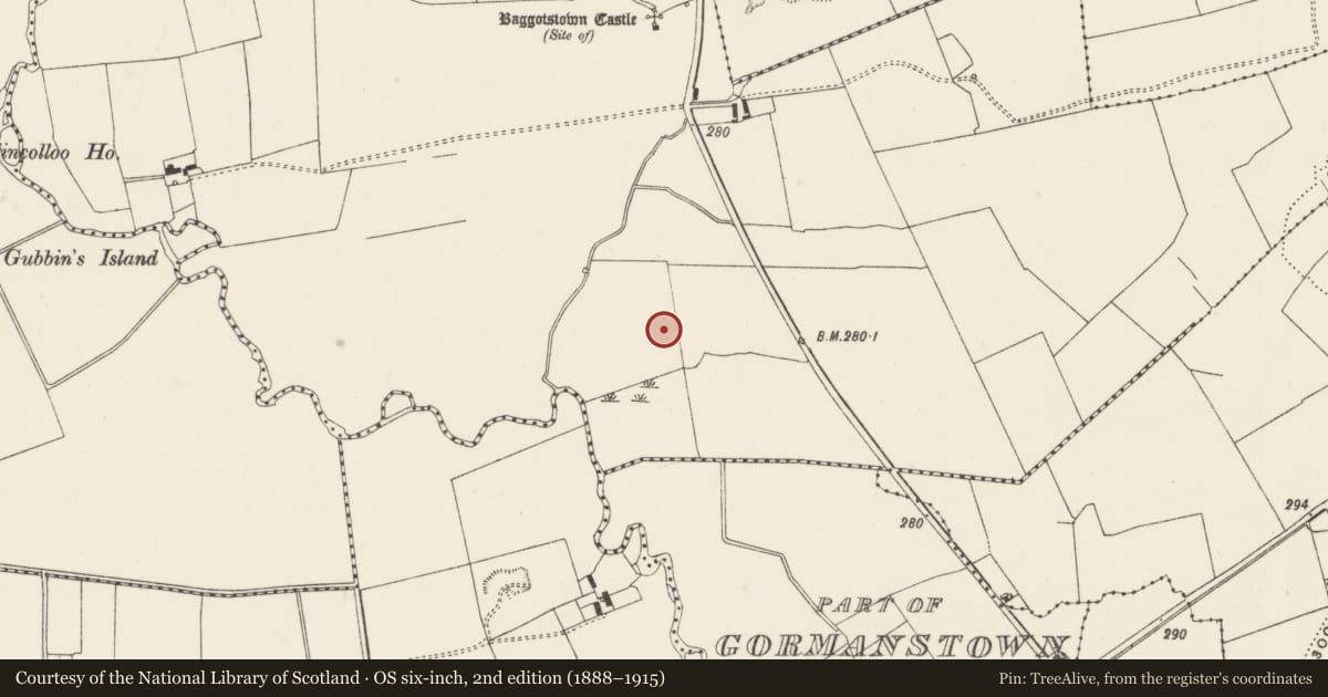 Ordnance Survey six-inch map, 2nd edition (1888–1915) covering the location of Earthwork, Baggotstown West, County Limerick, with a pin at the register's coordinates