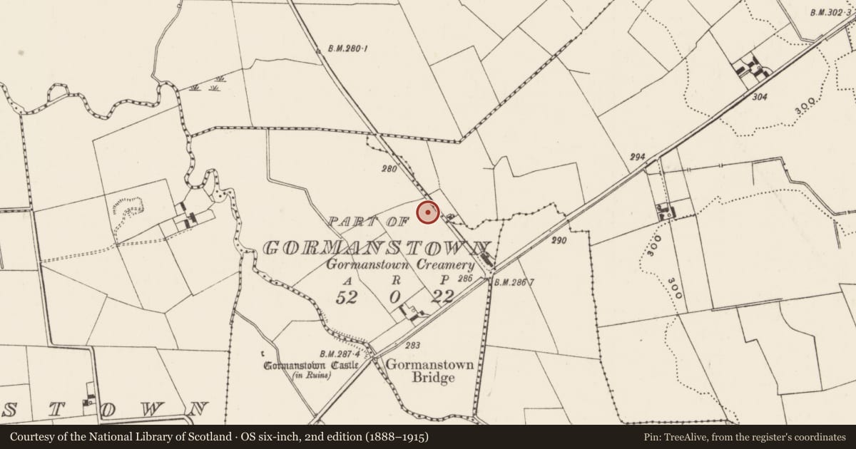 Ordnance Survey six-inch map, 2nd edition (1888–1915) covering the location of Earthwork, Gormanstown, County Limerick, with a pin at the register's coordinates