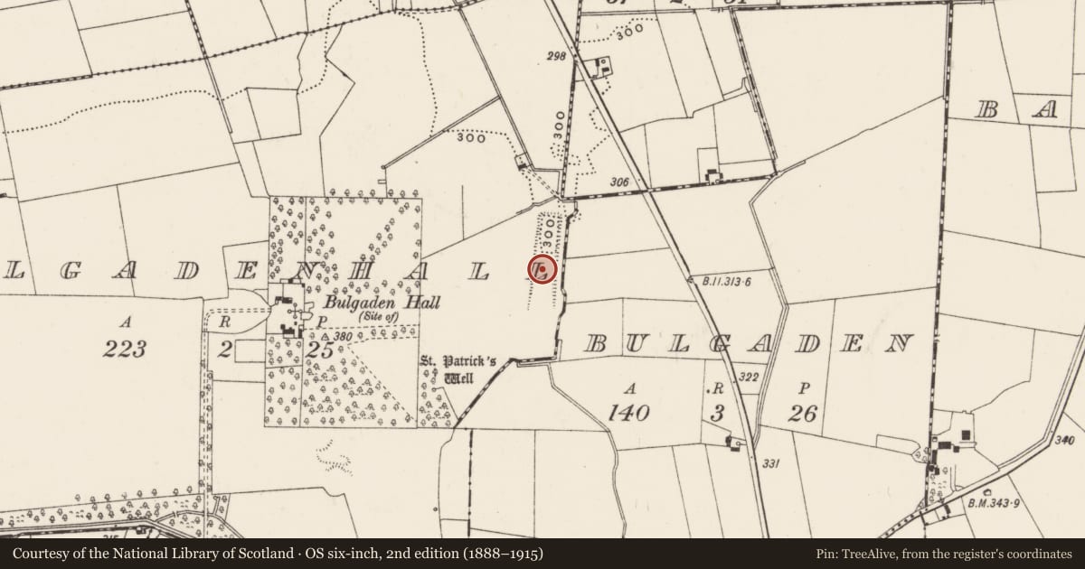 Ordnance Survey six-inch map, 2nd edition (1888–1915) covering the location of Designed landscape - ornamental canal, Bulgadenhall, County Limerick, with a pin at the register's coordinates