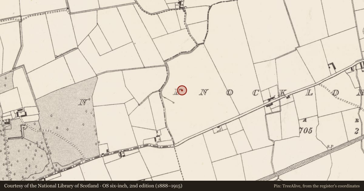 Ordnance Survey six-inch map, 2nd edition (1888–1915) covering the location of Barrow - unclassified, Knocklong West, County Limerick, with a pin at the register's coordinates